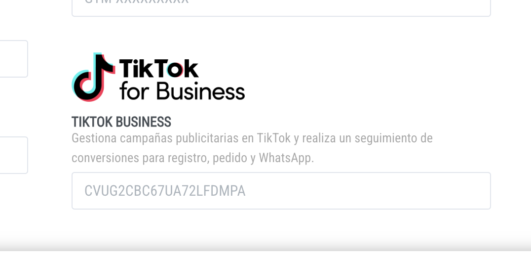 TikTok Pixel configuration in admin panel
